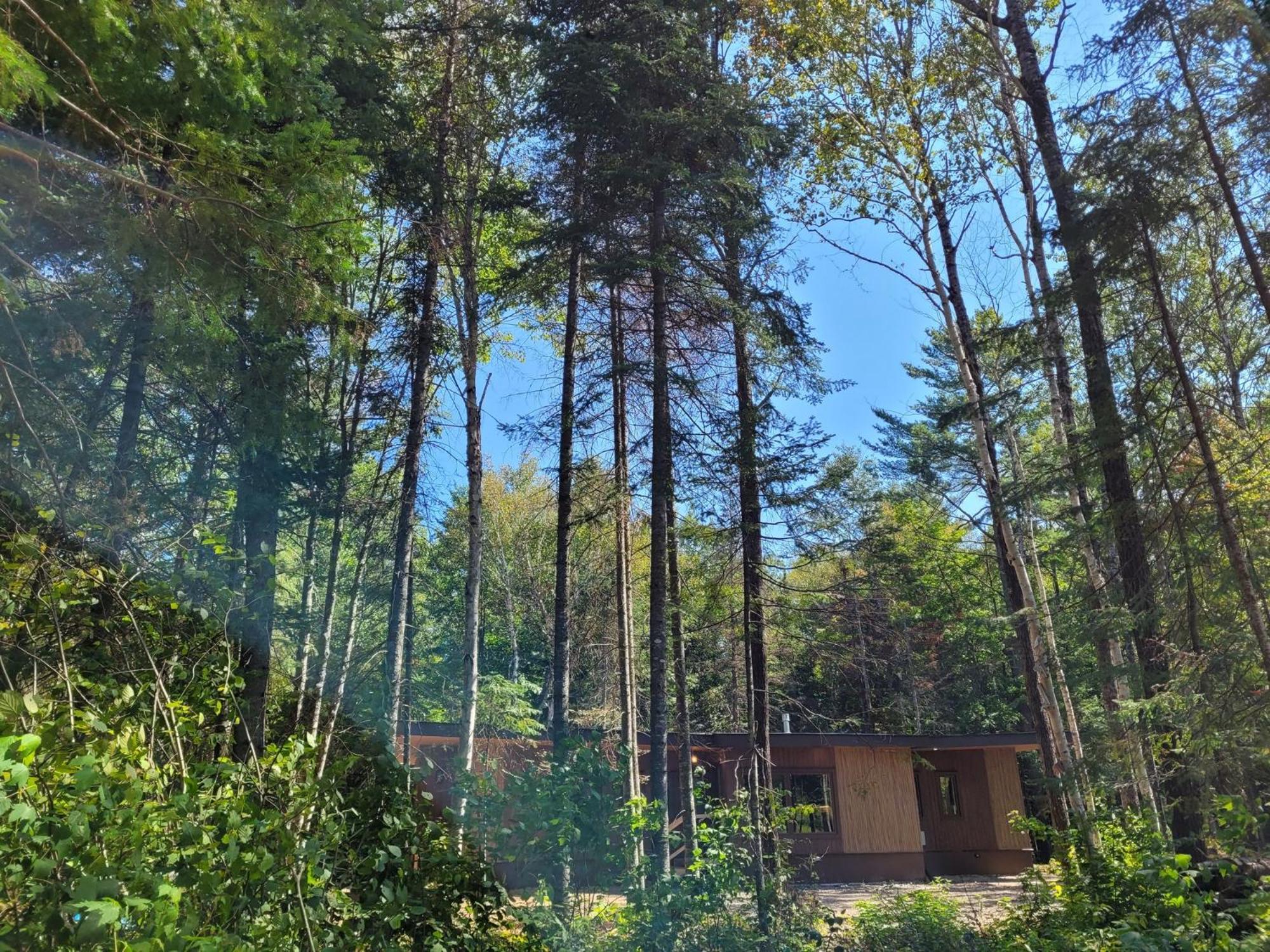 Nomi Resort Harcourt Extérieur photo